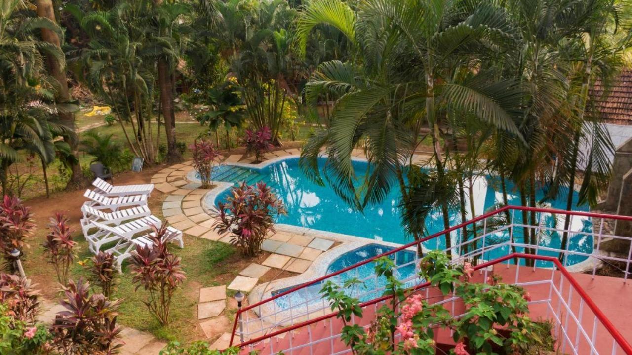 Tropical Valley Resort Morjim Eksteriør billede